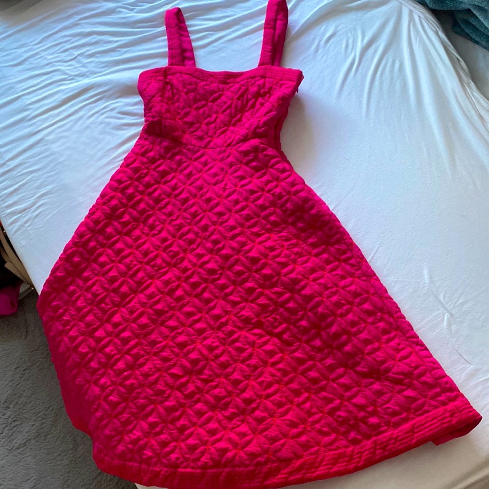 Beautiful Anthropologie dress only worn once for Galentines party, size 2